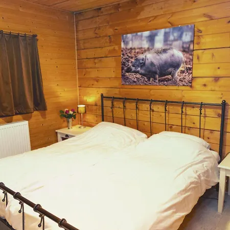Cosy In Odeigne With Jacuzzi Chalet *