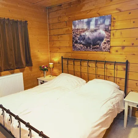 Chalet In Manhay For 9 Person Manhay