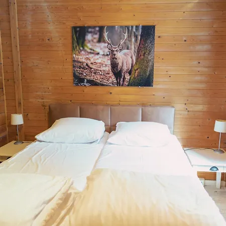 Chalet Chalet In Manhay For 9 Person Manhay